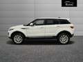 Land Rover Range Rover Evoque Evoque 5p 2.0 td4 Pure 150cv auto my19 Bianco - thumbnail 6