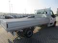 Opel Movano 2.3 TD 131 cv CASSONE FISSO APERTO NUOVO Bianco - thumbnail 5