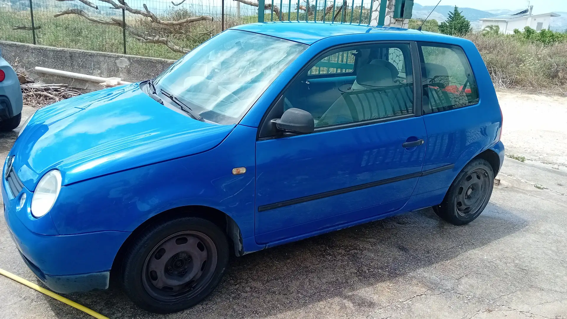 Volkswagen Lupo Lupo 1.7 sdi Trendline Blu/Azzurro - 1