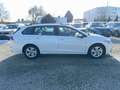 Volkswagen Golf Variant Life TSi DSG CarPlay/AHK/Virt/ACC Weiß - thumbnail 8