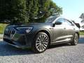 Audi e-tron SB 55 quattro NP:130.000,- Euro Voll Dig Matrix !! Gris - thumbnail 7