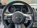 Ford Mustang 2.3 Eco Boost Amerikaanse uitvoering (Los Angeles) Wit - thumbnail 14