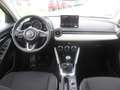 Mazda 2 /G90/Exclusive-Line Modell 2024 Beige - thumbnail 19