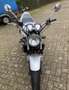Honda CB 600 Hornet CB 600F Gris - thumbnail 2