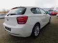 BMW 114 i Urban Line Teilleder/PDC/Sitzheizung/EURO6 Weiß - thumbnail 5