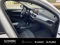 BMW X2 X2 xDrive20d Advantage AHK+Distr+HeadUp+el.Heck BC Blanc - thumbnail 9