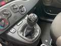 Fiat Panda Panda III 2021 1.0 hybrid Prezzo Vero Garanzia 12M Grigio - thumbnail 13