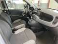 Fiat Panda Panda III 2021 1.0 hybrid Prezzo Vero Garanzia 12M Grigio - thumbnail 7