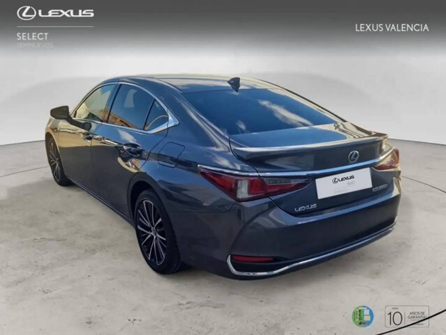 Lexus ES 300 300h Premium Grau - 2