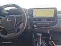 Lexus ES 300 300h Premium Grau - thumbnail 8