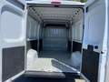 Citroen Jumper BUSINESS Bianco - thumbnail 4