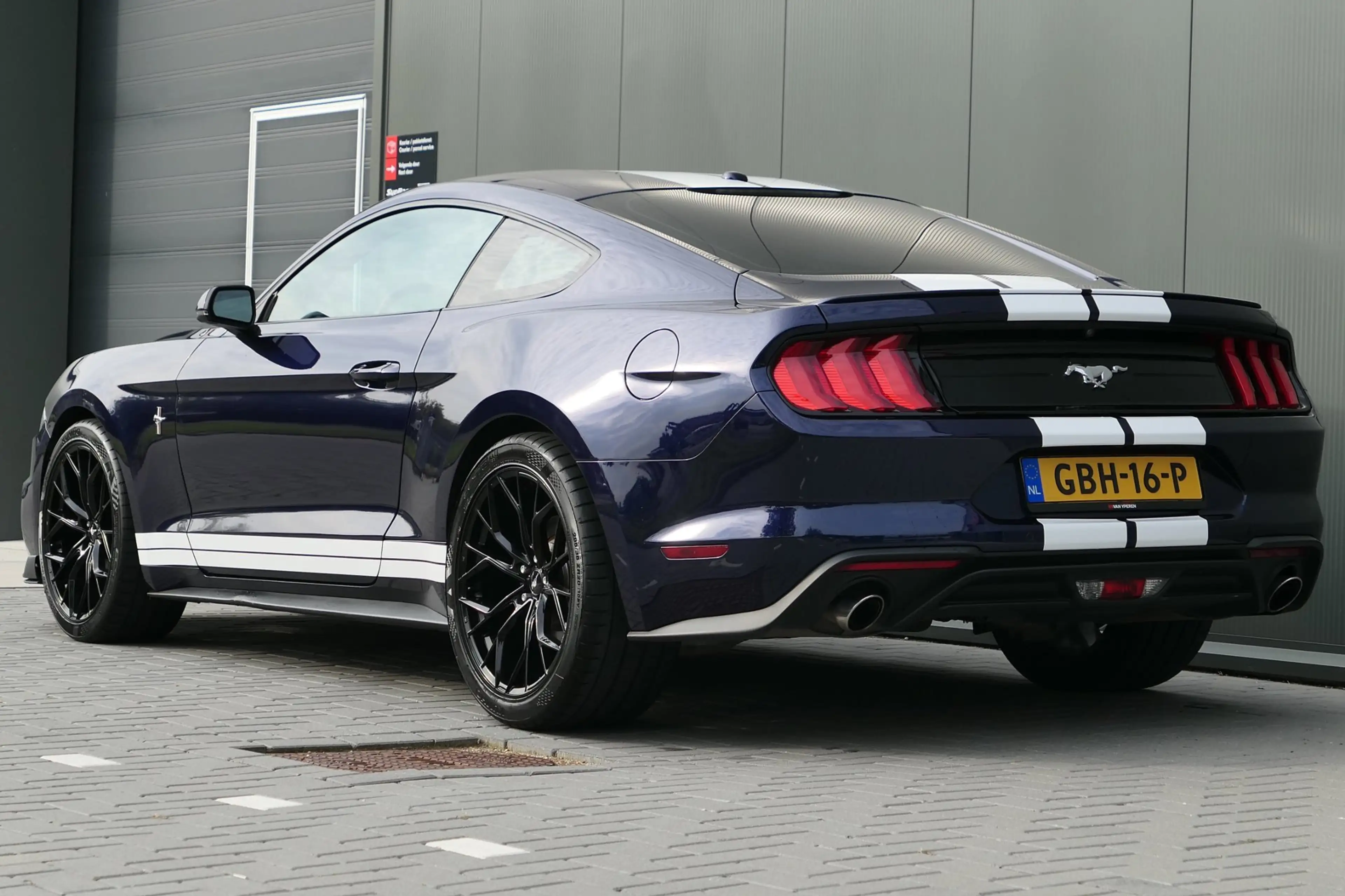 Ford Mustang Fastback 2.3 EcoBoost Camera Cruise Xenon — photo 11