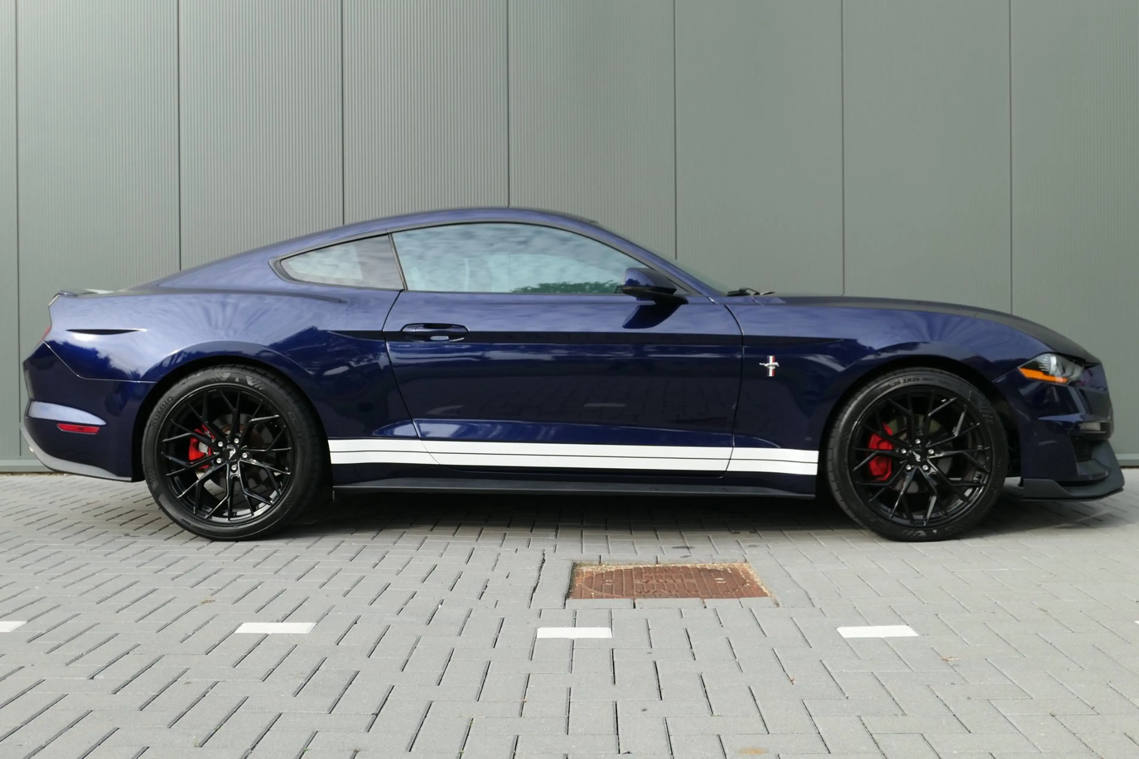 Ford Mustang Fastback 2.3 EcoBoost Camera Cruise Xenon — photo 12