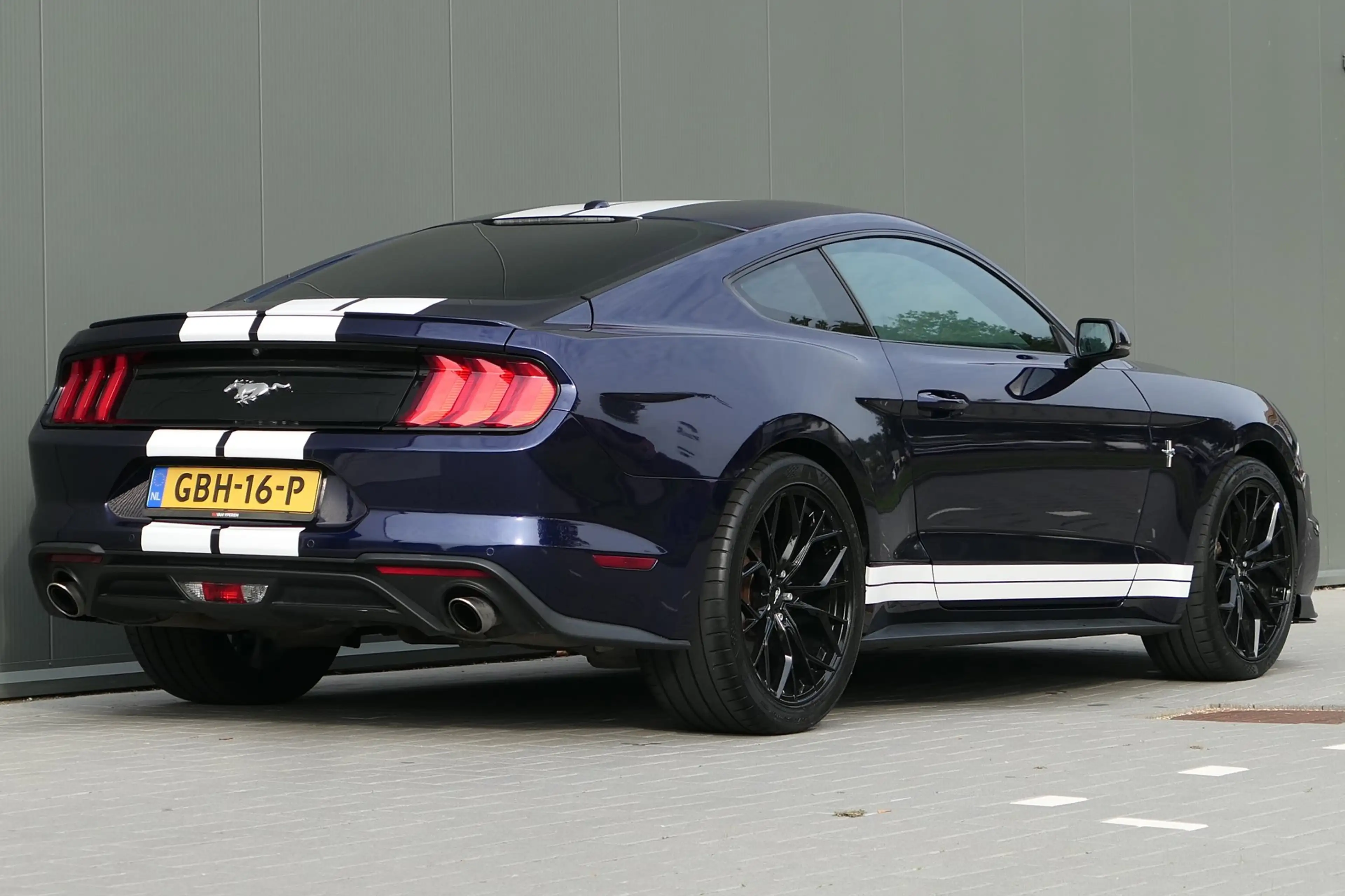 Ford Mustang Fastback 2.3 EcoBoost Camera Cruise Xenon — photo 2