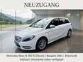 Mercedes-Benz B 200 B 200 CDI (246.201) Weiß - thumbnail 1