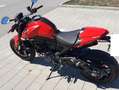 Ducati Monster 937 Rot - thumbnail 4
