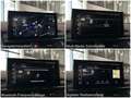 Audi A5 40TDI quattro advanced ViCo Matrix SportS HUD Negro - thumbnail 13