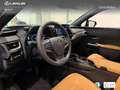 Lexus UX 300h + Schwarz - thumbnail 21