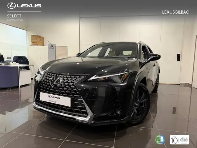 Lexus UX 300h +