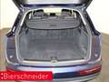 Audi Q5 40 TDI qu basis KAMERA NAVI PANO AHK 20 Blu/Azzurro - thumbnail 14