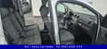 Volkswagen Caddy Life Roncalli Edition Tel: 0561 9300 3757 Silber - thumbnail 11