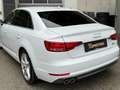 Audi A4 2,0 TDI quattro Sport *Standheizung*Virtual*S-Line Weiß - thumbnail 20