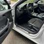 Audi A4 2,0 TDI quattro Sport *Standheizung*Virtual*S-Line Blanc - thumbnail 11