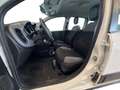 Fiat Panda 1.0 FireFly S&S Hybrid City Life Blanc - thumbnail 7
