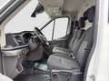 Ford Transit Kasten 2,0 EcoBlue L2H2 350 Trend Ausbau-Laderr... Blanc - thumbnail 9