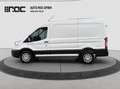 Ford Transit Kasten 2,0 EcoBlue L2H2 350 Trend Ausbau-Laderr... bijela - thumbnail 2