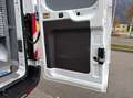 Ford Transit Kasten 2,0 EcoBlue L2H2 350 Trend Ausbau-Laderr... Weiß - thumbnail 34