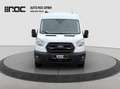 Ford Transit Kasten 2,0 EcoBlue L2H2 350 Trend Ausbau-Laderr... bijela - thumbnail 8