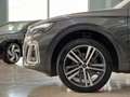 Audi Q5 40 TDI 204 CV quattro S tronic S line Gris - thumbnail 14
