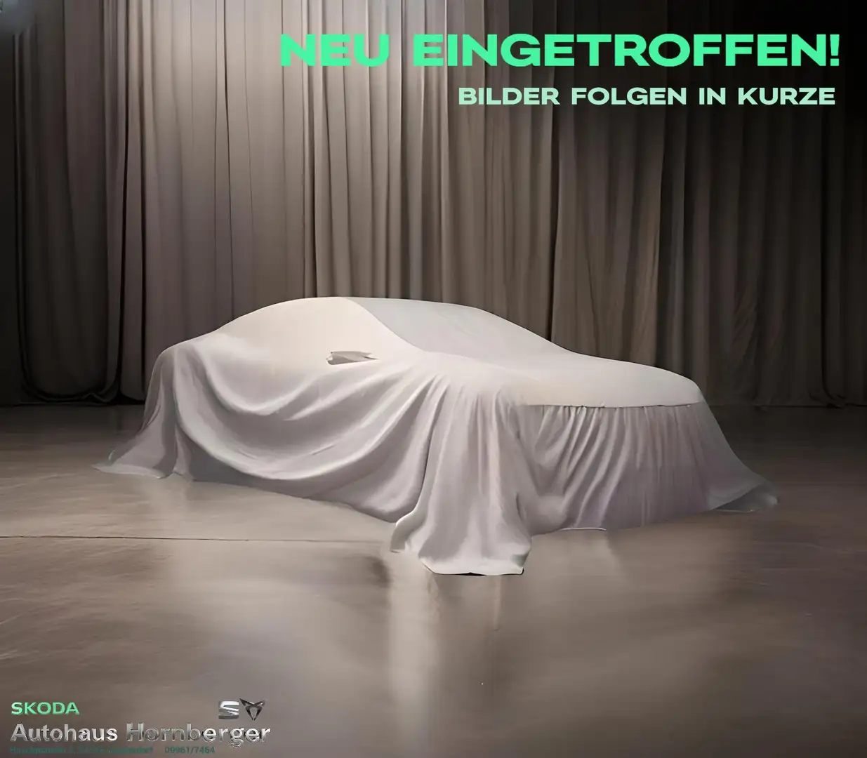Skoda Scala Sondermodell 130 Jahre Anhängerkupplung LED PDC Grau - 1