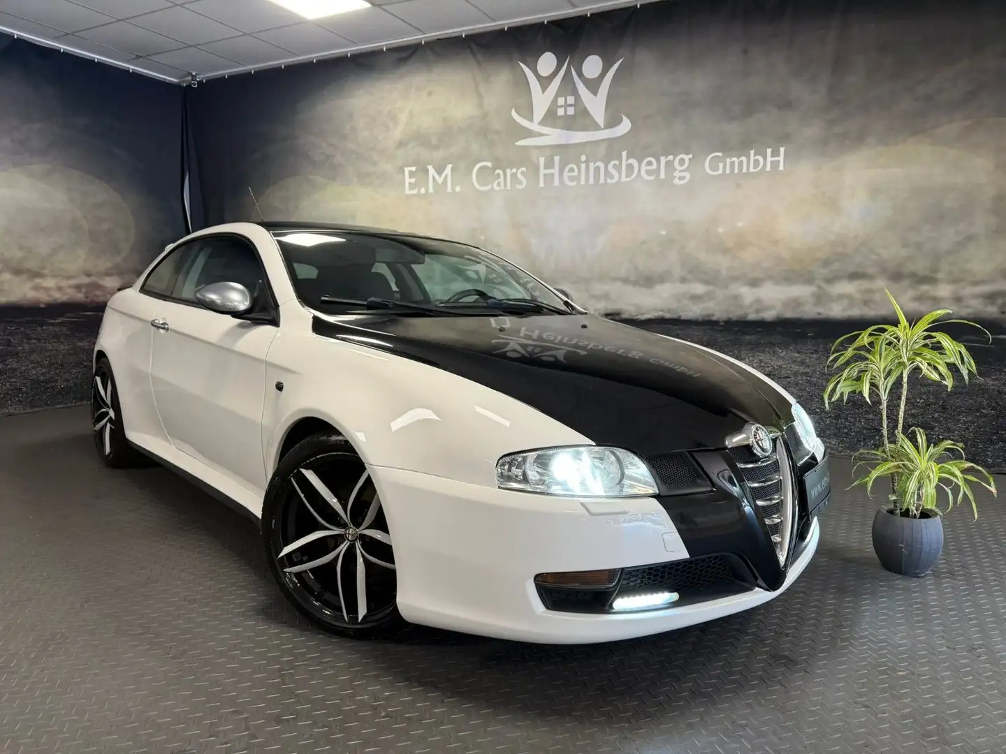 Alfa Romeo GT 1.9 JTD 16V M-Jet Q2 Progression Biały - 1