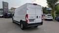 Fiat Ducato L3H2 3-Sitzer *Tempomat*Navi*USB* Weiß - thumbnail 5