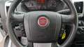 Fiat Ducato L3H2 3-Sitzer *Tempomat*Navi*USB* Weiß - thumbnail 12
