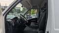 Fiat Ducato L3H2 3-Sitzer *Tempomat*Navi*USB* Weiß - thumbnail 9