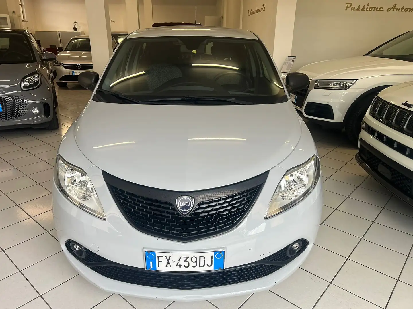 Lancia Ypsilon Ypsilon 1.2 Elefantino Blu  UNICOPROPRIETARIO Gris - 1