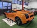 Lamborghini Gallardo LP 520 Cambio Manuale Trazione Posteriore PERMUTE Arancione - thumbnail 5