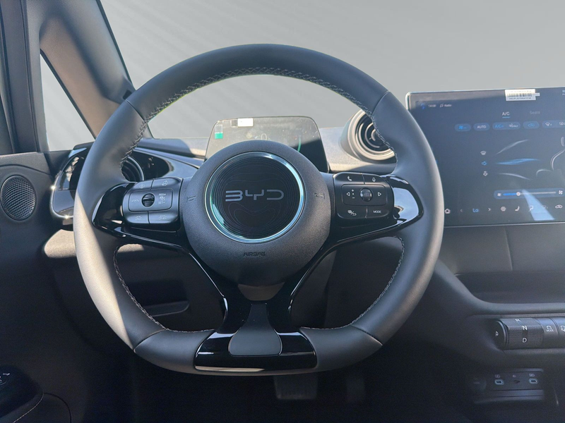 BYD Dolphin Comfort+NAVI+TOUCH+ELKTR SITZE+BLUETOOTH — photo 12