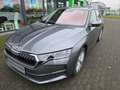 Skoda Octavia Combi 2.0 TDI 110 kW DSG Selection/Standheizung Grau - thumbnail 4