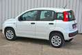 Fiat Panda 0.9 t.air t. natural power 80cv *OK NEOPATENTATI* Bianco - thumbnail 7