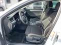 Skoda Superb Combi Ambition 2.0 TDI DSG / LED,ACC, AHK Blanc - thumbnail 11