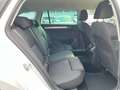 Skoda Superb Combi Ambition 2.0 TDI DSG / LED,ACC, AHK Blanc - thumbnail 13