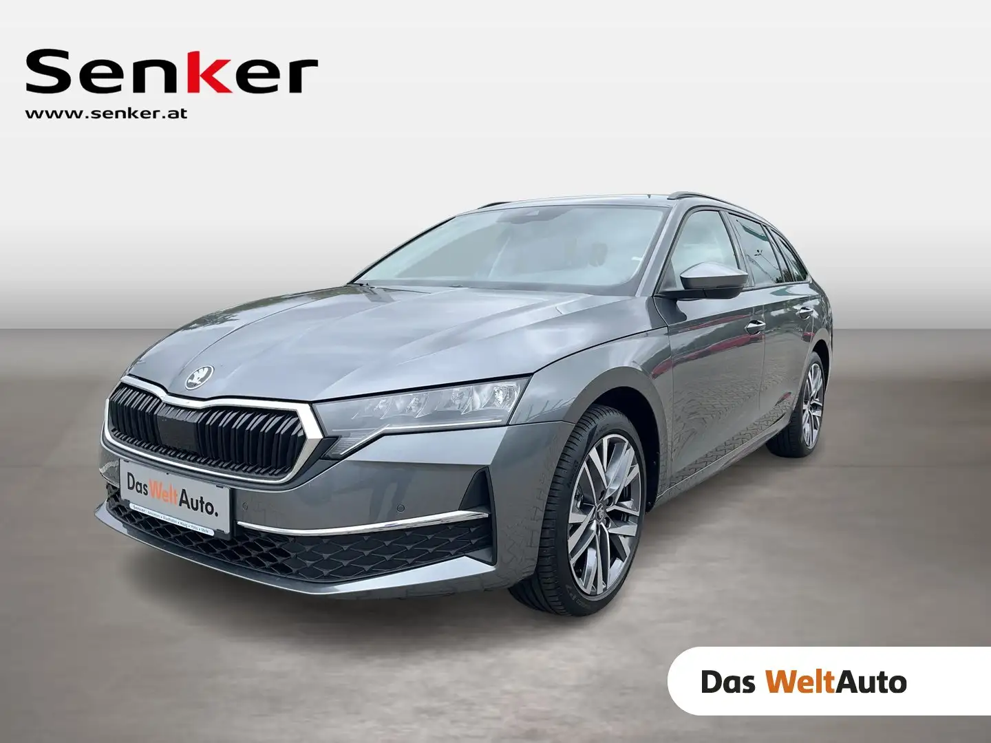 Skoda Octavia Selection TDI DSG Gris - 1