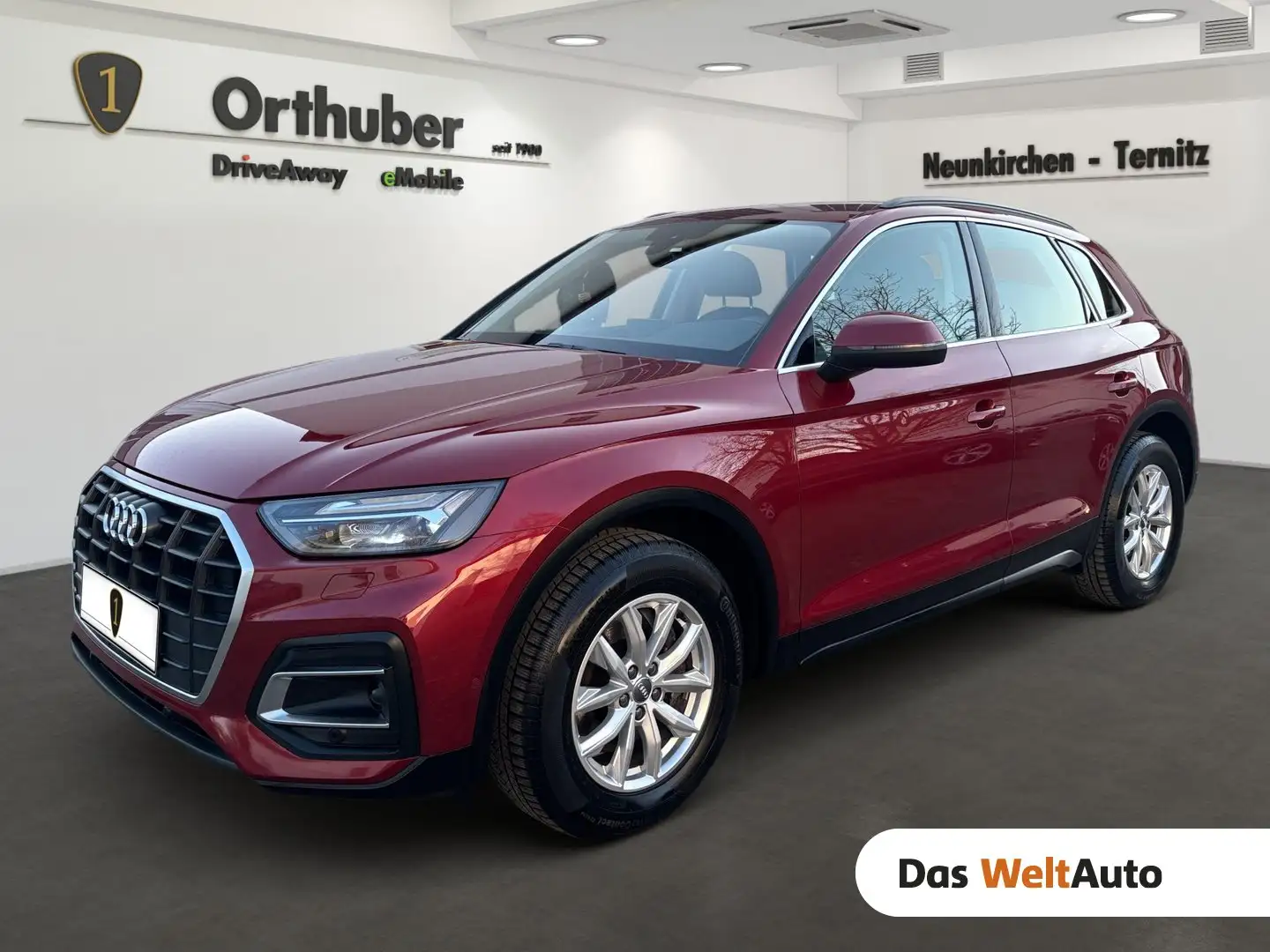 Audi Q5 35 TDI intense Rot - 1