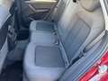 Audi Q5 35 TDI intense Rot - thumbnail 18