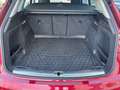 Audi Q5 35 TDI intense Rot - thumbnail 9
