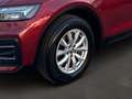 Audi Q5 35 TDI intense Rot - thumbnail 8